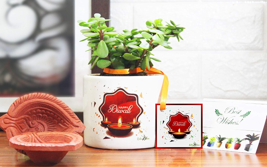 Diwali themed plant pots